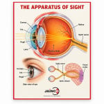 The Apparatus of Sight